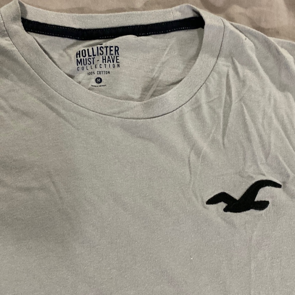 Men’s Hollister Medium T-Shirt in gray
